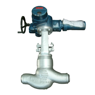 Globe Valve