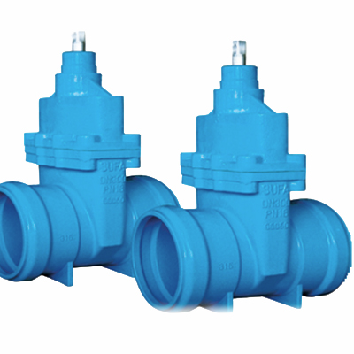 Water System Valve
