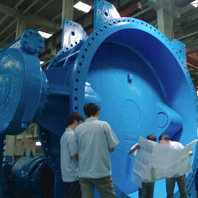 Water System Valve